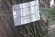 Tibor-Ilona_a
