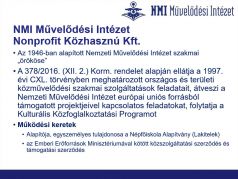 nmi_02